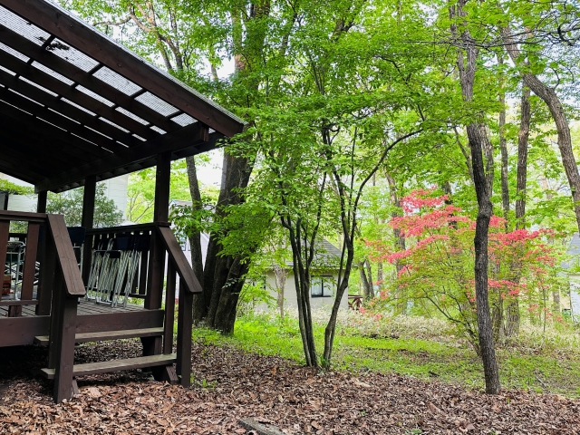 貸別荘経営の魅力とメリット